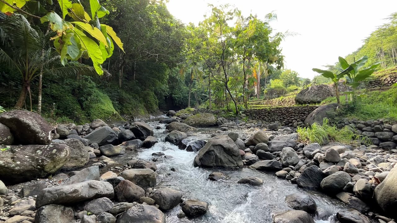 Gentle Nature River Sounds for Fast Sleep, Calm Mind and Deep Relaxation 🌲🌊
