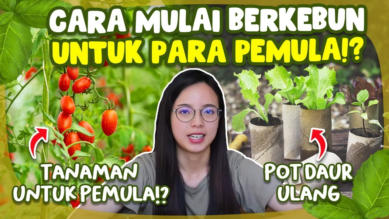 TANAMAN YANG COCOK UNTUK PARA PEMULA SAAT BERKEBUN!? PASTI BERHASIL??