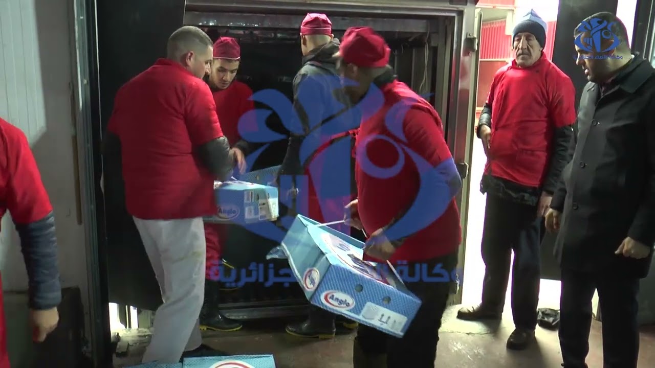 برج بوعريريج: الشروع في تموين 13 ولاية بـ 200 طن من اللحوم الحمراء المستوردة تحسبا لشهر رمضان