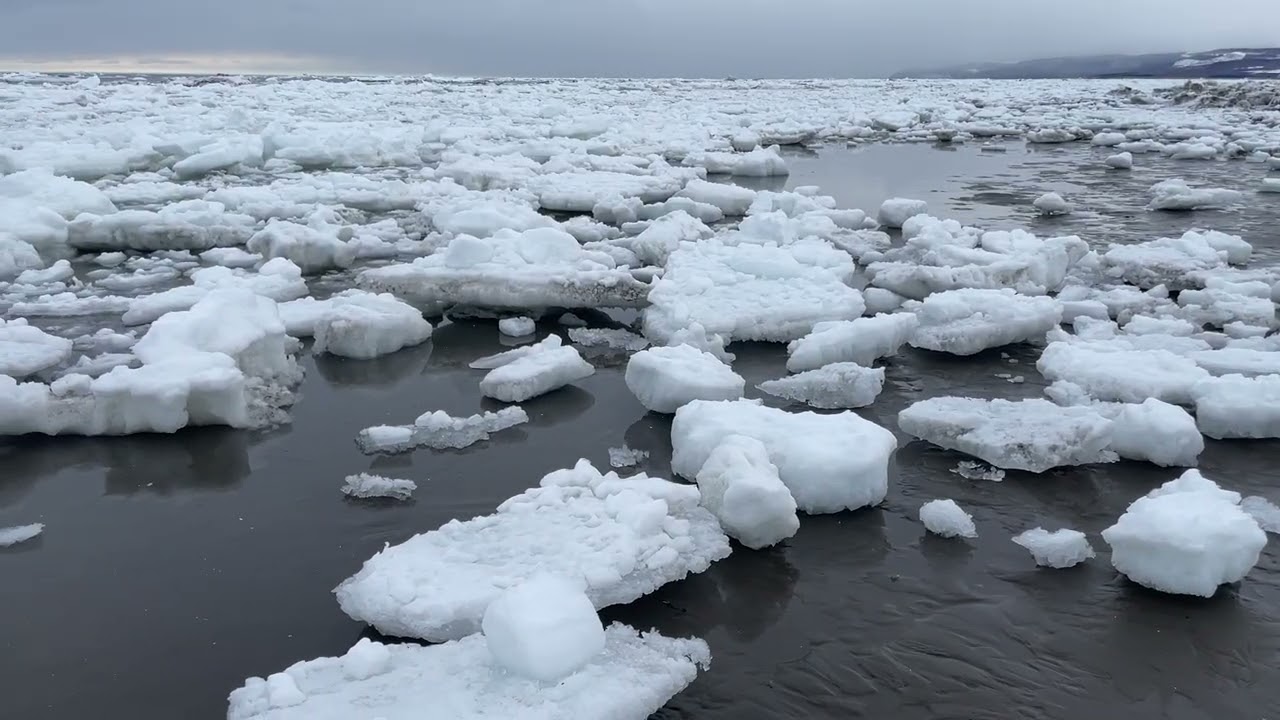 2026.3.7 以久科原生花園② 波打ち際