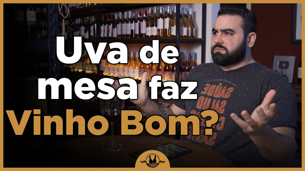 Uva de mesa pode fazer VINHO BOM?