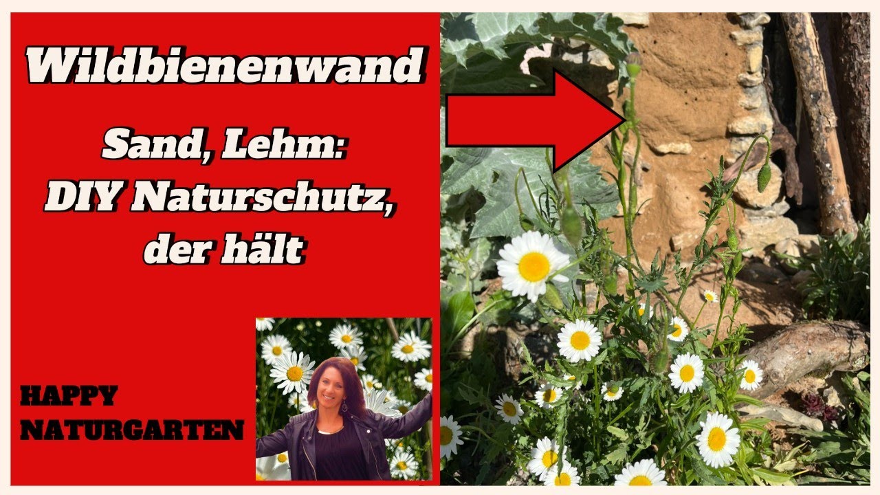 Verschiedene Sand-Lehm-Steilwände zum Selberbauen:  Für glückliche Steilwandnister! #sandlehmwand