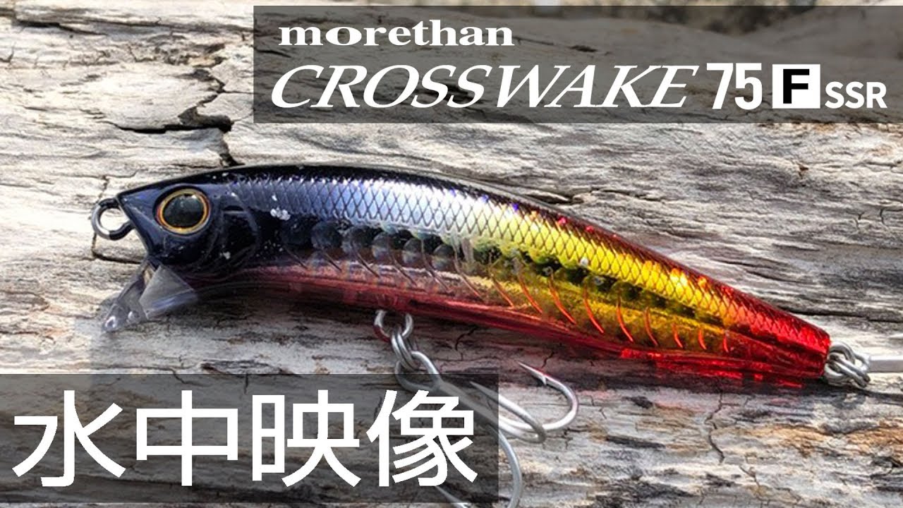 DAIWA /クロスウェイク75F SSR  水中映像 【FIMO LURE LAB】