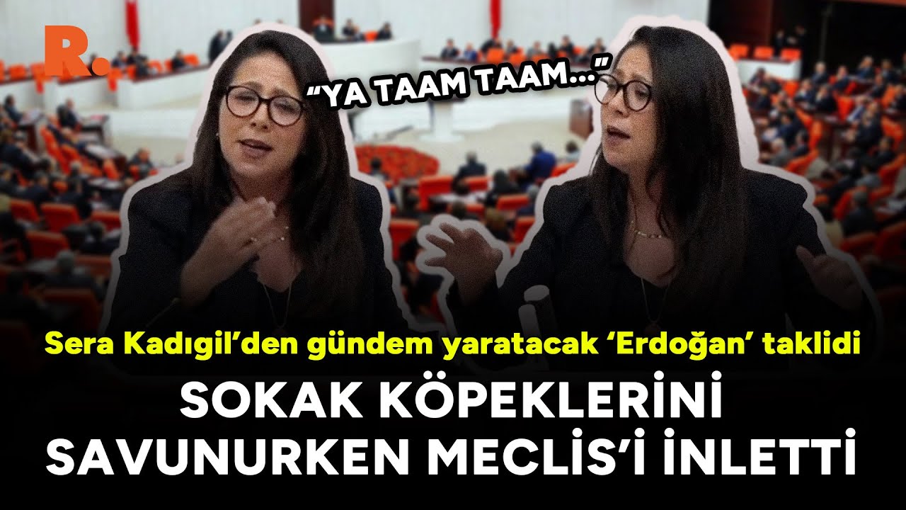 Sera Kadıgil’den gündem yaratacak ‘Erdoğan’ taklidi: Sokak köpeklerini savunurken Meclis'i inletti