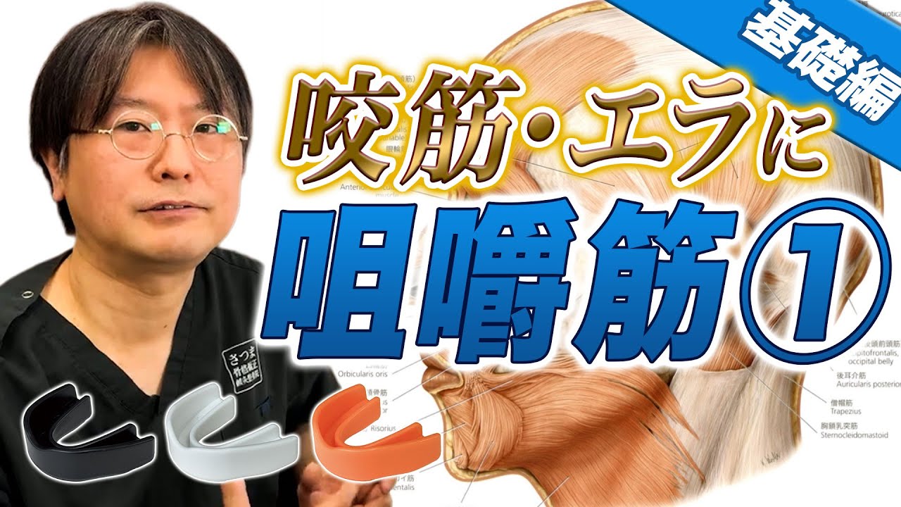 咬筋・エラに 咀嚼筋① 基礎編[さつま式YouTube講義Vol.20]