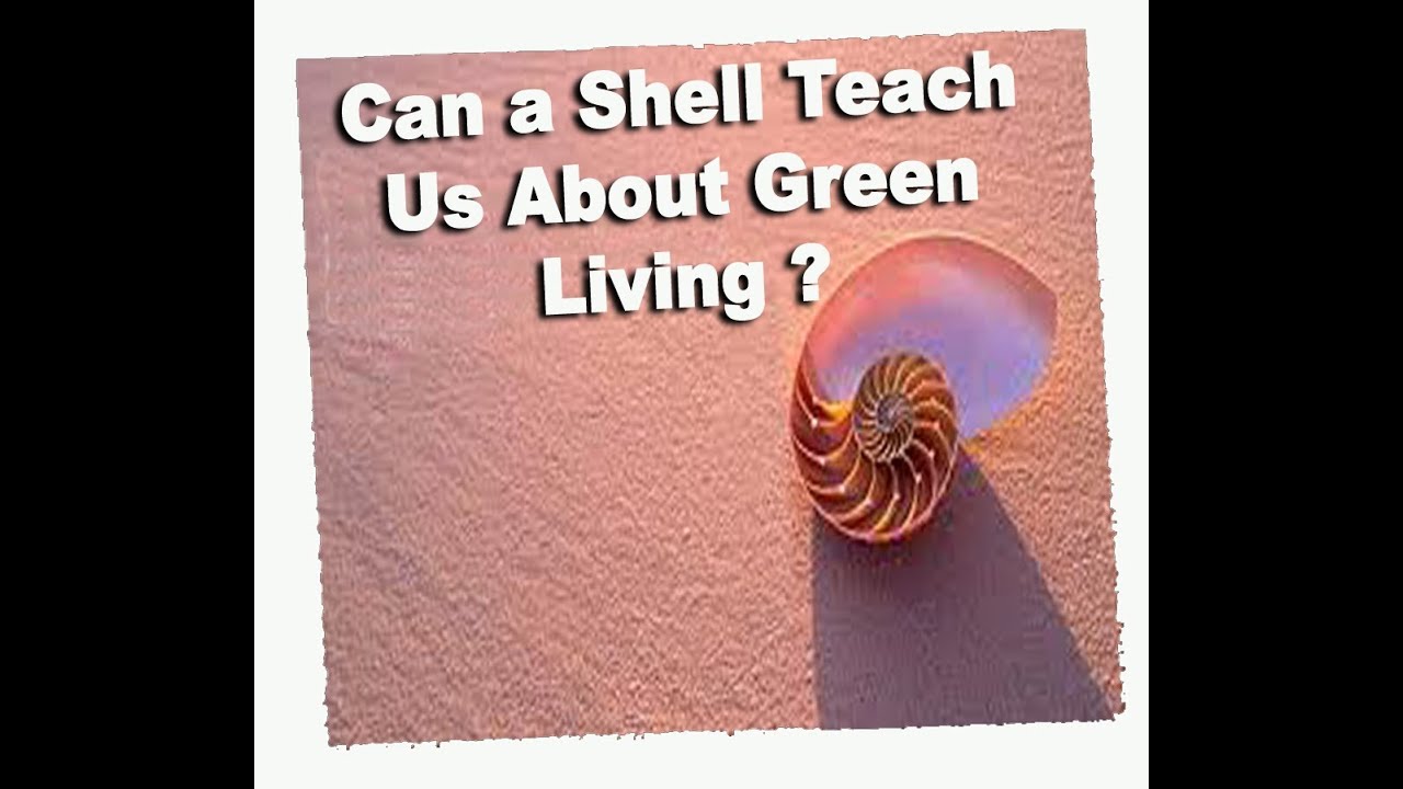 Green Energy Homes Designed Around Nature, Eco Friendly Blueprints,