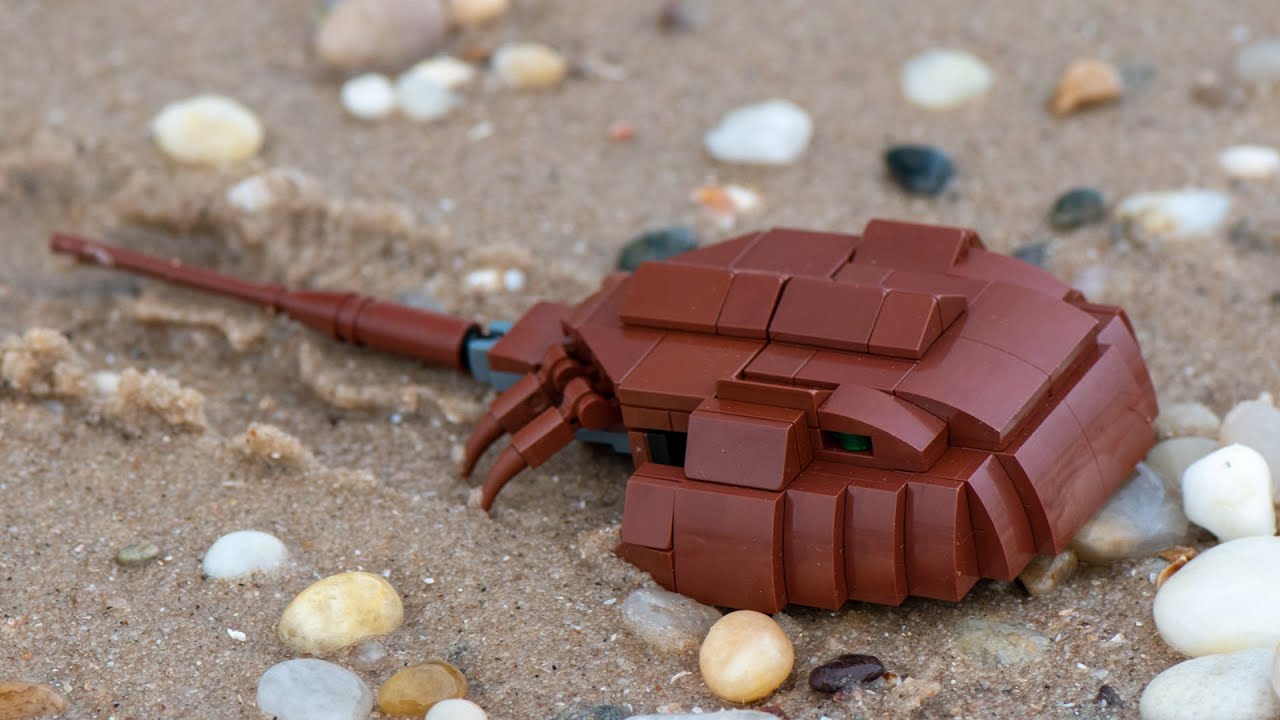 Lego MOC Horseshoe Crab Instruction