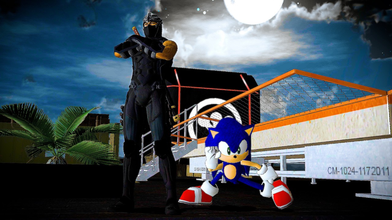Sonic Wants to Be Ninja