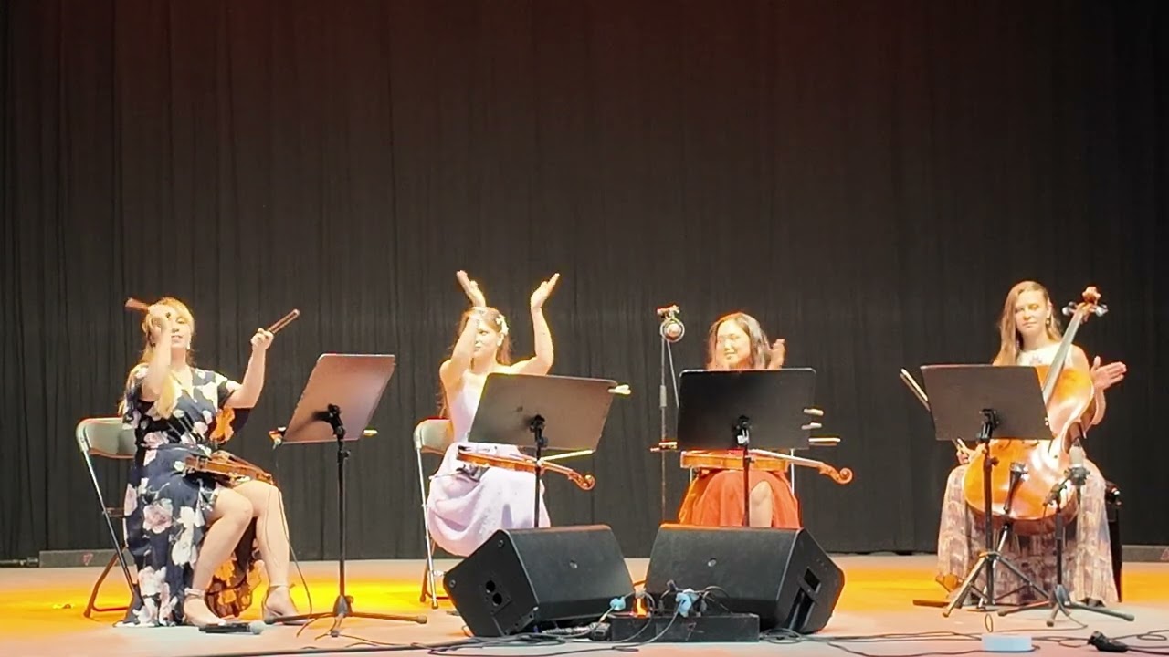 World Resonance Ensemble in Kultursommer Wien 2024