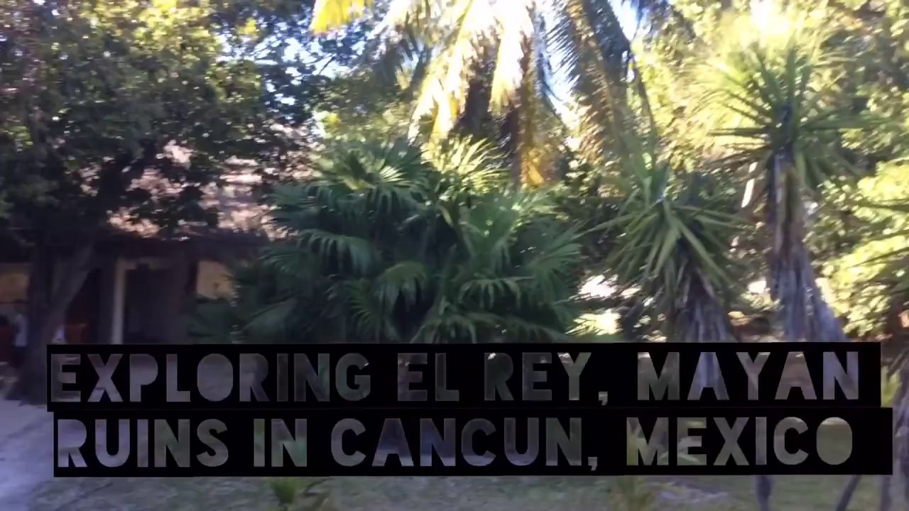 Exploring El Rey Mayan Ruins