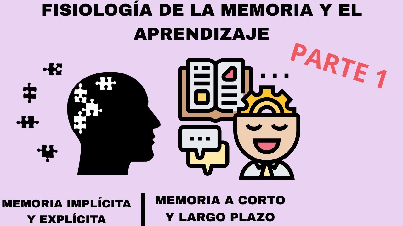 Neurofisiología del APRENDIZAJE Y MEMORIA (Parte 1)