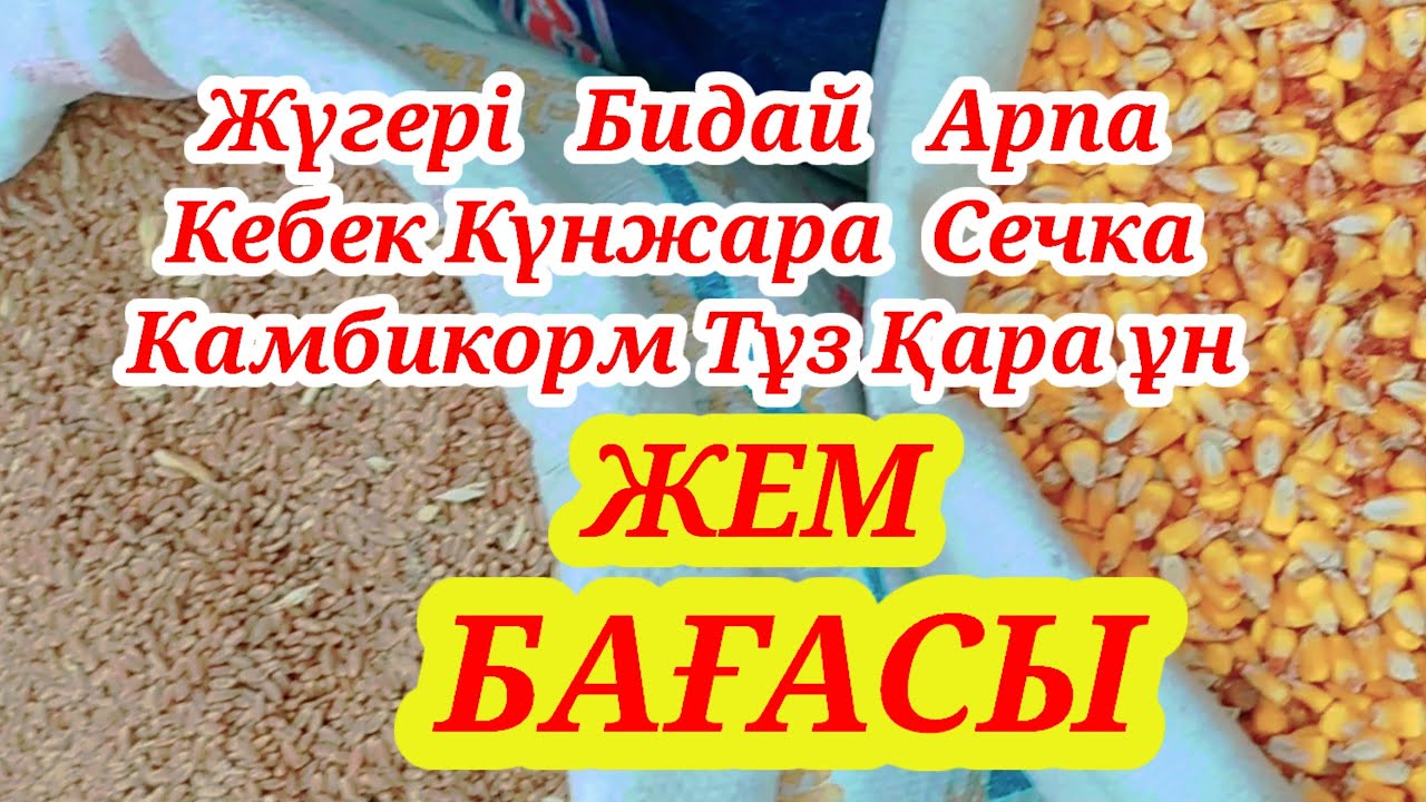 АБАЙ МАЛ БАЗАРДАҒЫ ЖЕМ БАҒАСЫ КЕБЕК БИДАЙ ЖҮГЕРІ ҚАРА ҰН  тб .