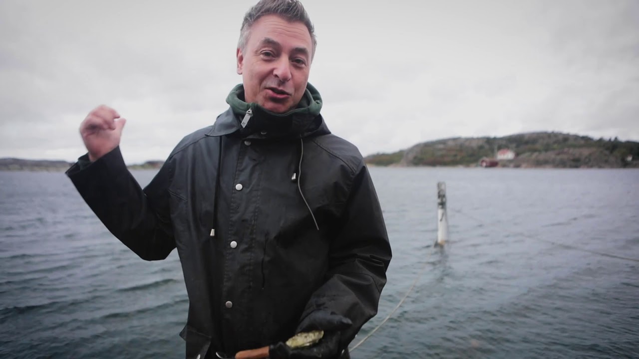 Why food from the sea outside Sweden is the best - Swedish chef Tareq Taylor