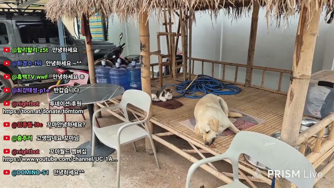 라오스 라이브