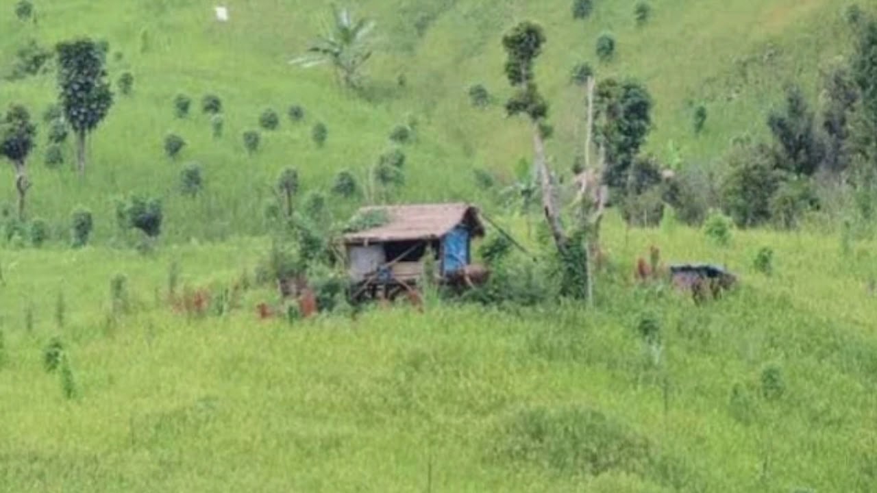 Khawnglung run (Rapid reader of Class 10)