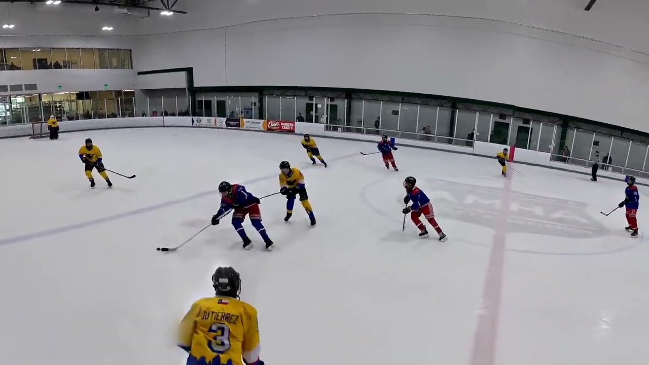 Excalibur vs icebats 03082026 3rd period