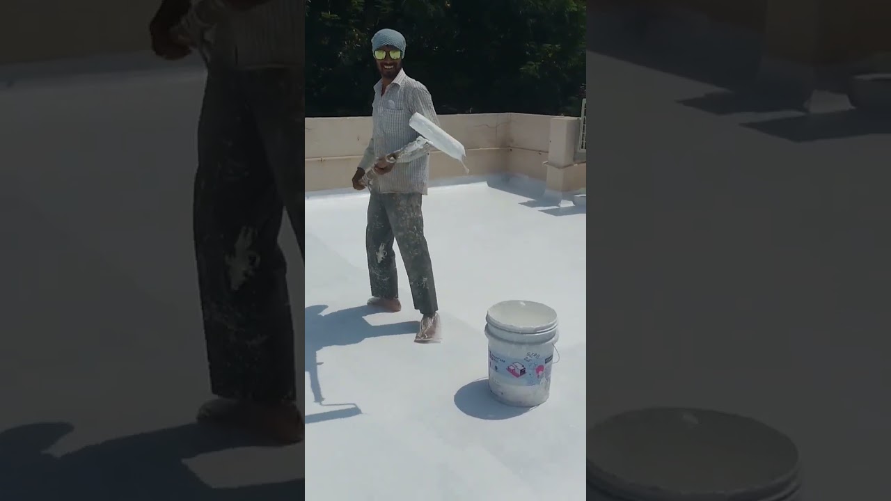 smart care water proofing damp proof