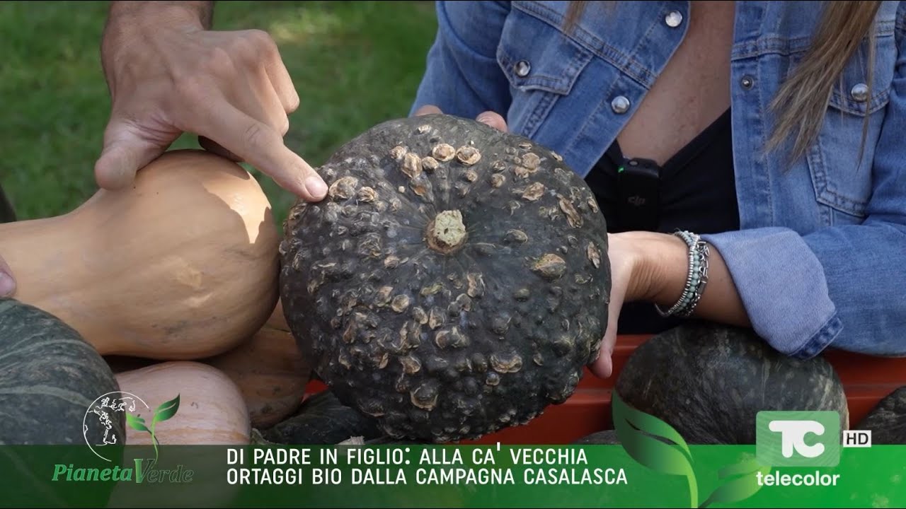 Pianeta Verde: di padre in figlio, alla Ca' Vecchia ortaggi bio dalla campagna casalasca  01.02.2026