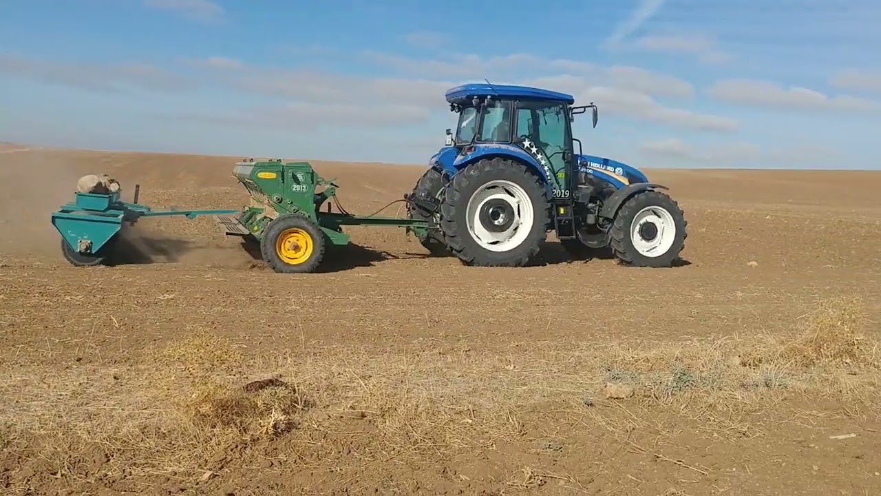 New Holland TD 110 D Buğday Ekimi