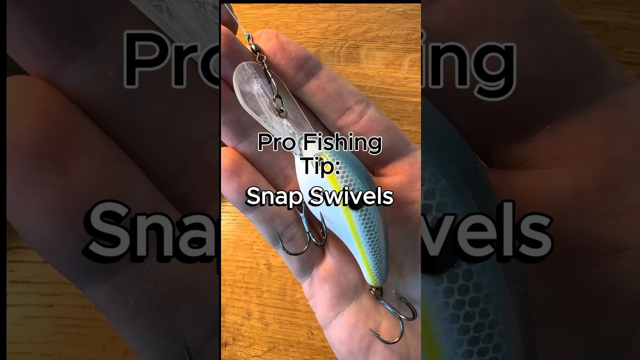 Snap Swivel Fishing Hack #fishing #bassfishing #howto #largemouthbass #largemouthbassfishing