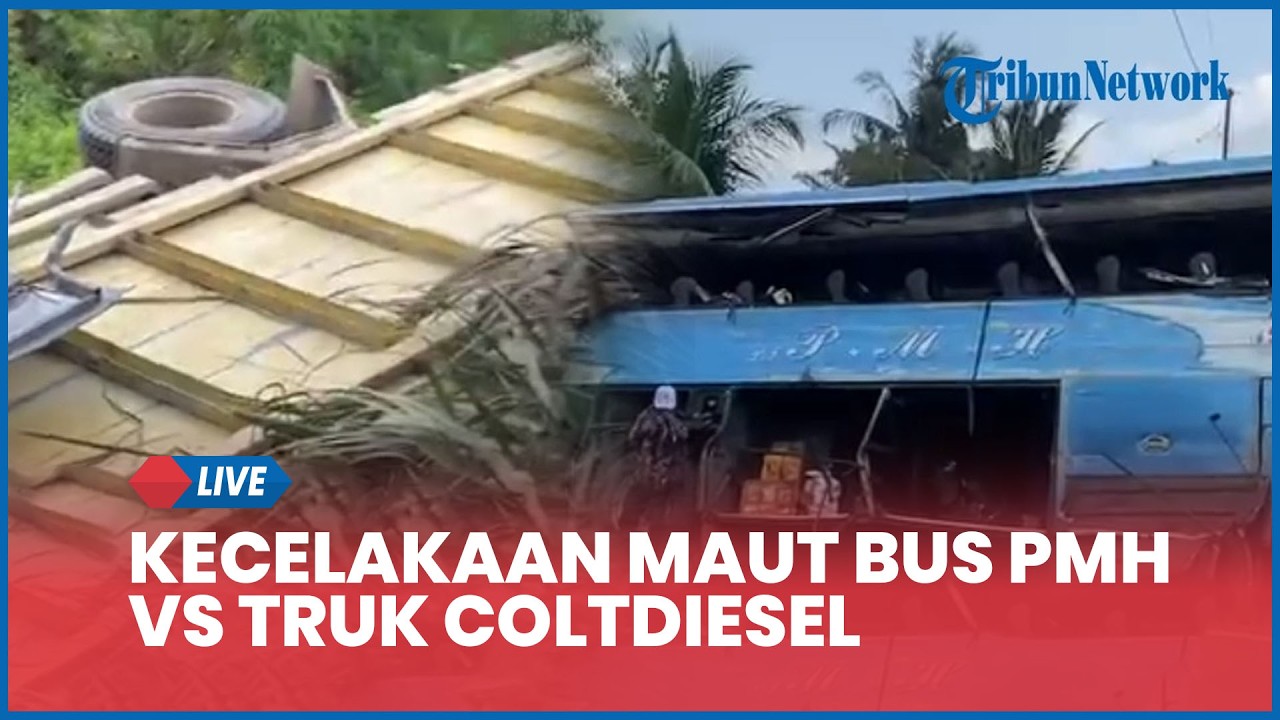 LIVE Kecelakaan Maut Bus PMH Vs Truk Coltdiesel di Pelalawan Riau, 4 Orang Tewas dan 3 Luka-luka