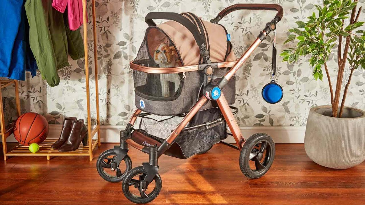 Dog Stroller : Which are the Best Dog Strollers in 2026?
