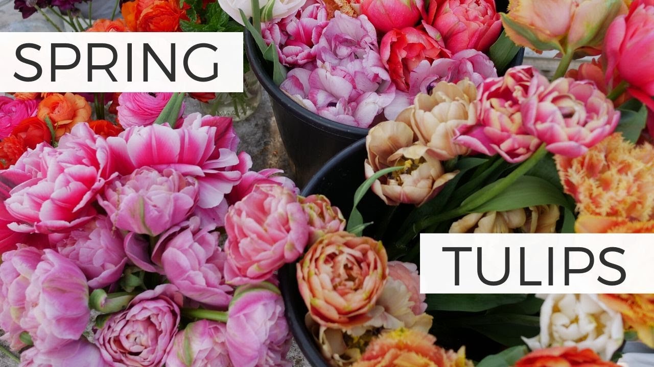 Tulip Garden Tour: Spring Cut Flower Garden