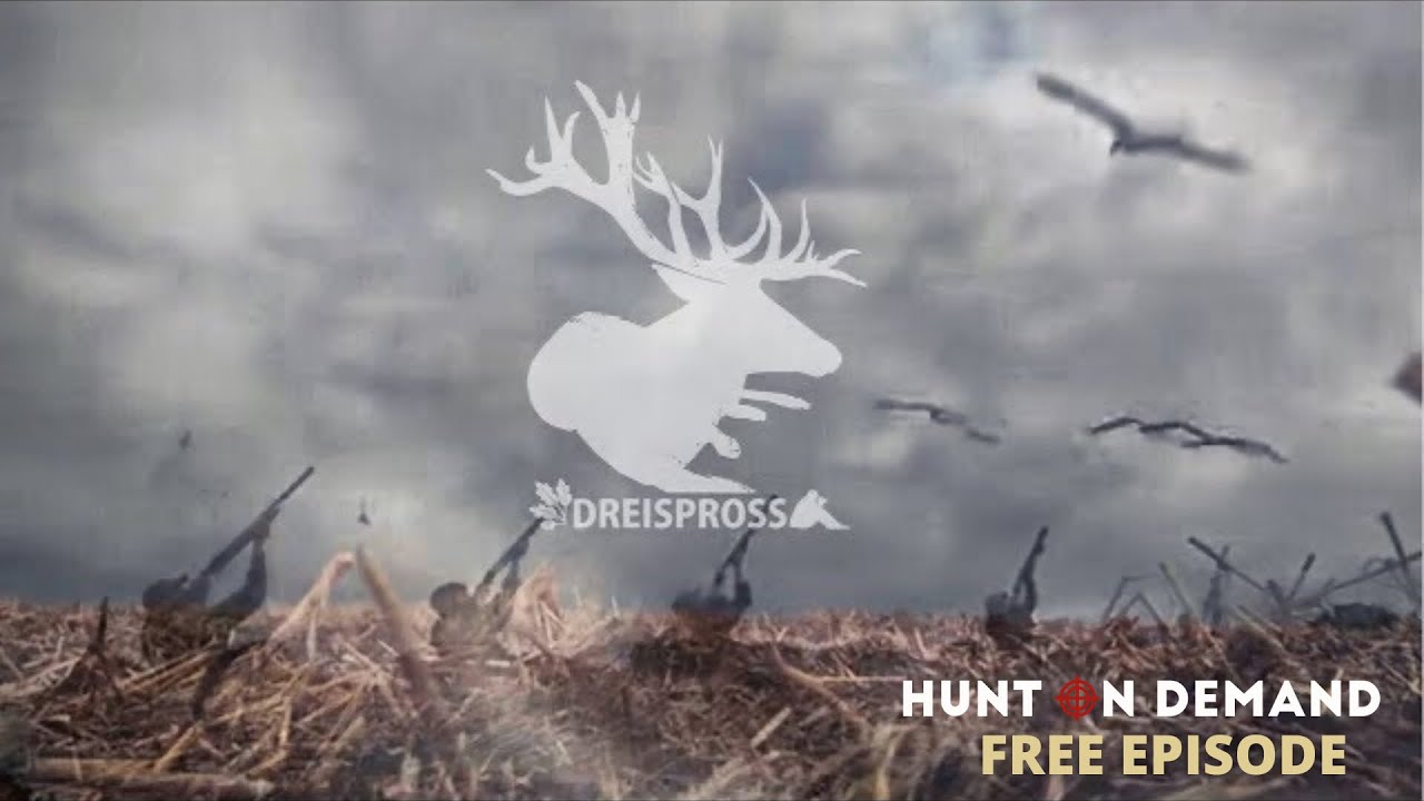 G&auml;nsejagd im Heimatland   |  HOD Free Episode