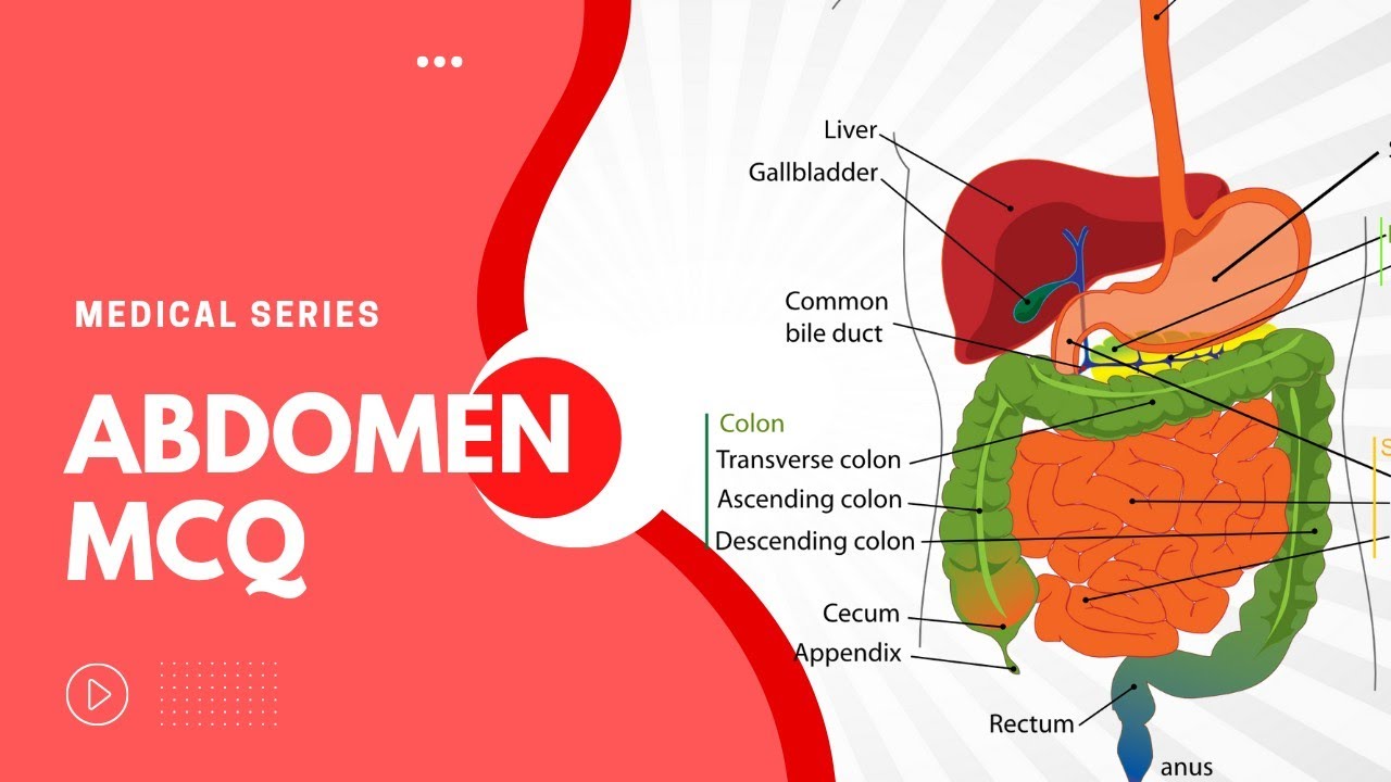 Abdomen MCQ | Medical Topic series |