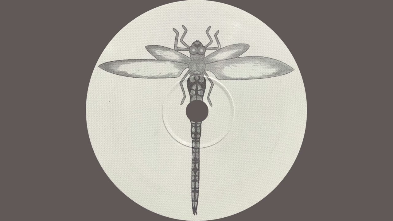 Hallucinogen – L.S.D.