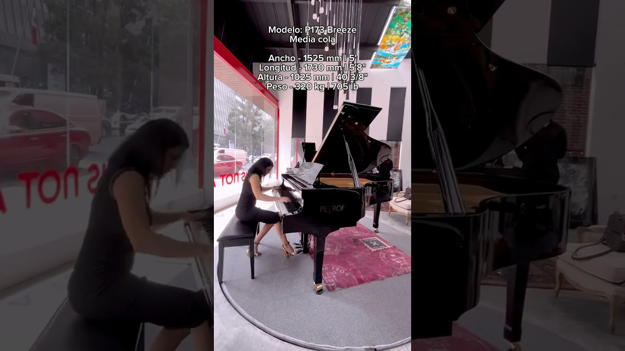 Black Gallery de Pianos Petrof parte 1 #piano #petrof #musica