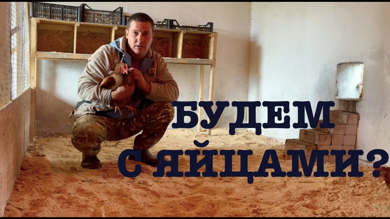 #179. Где пропадали? Последний урожай. Посадка чеснока. [Жизнь на своей земле]