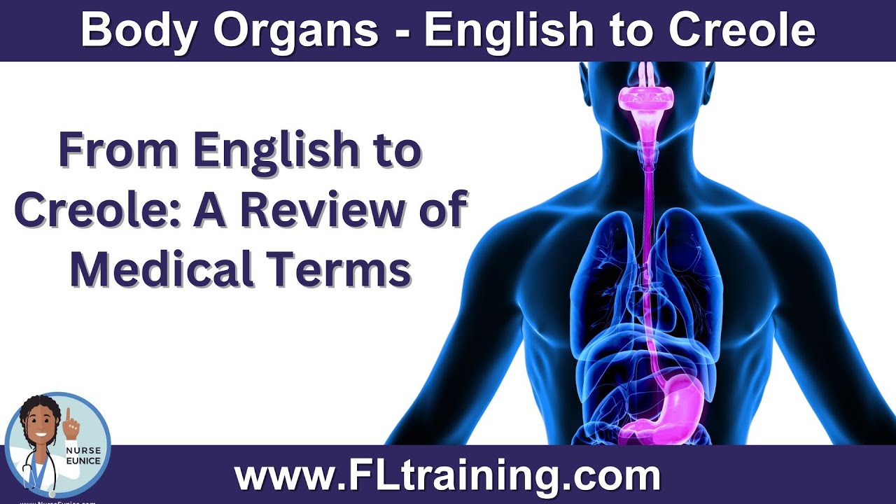 Body Organs Translated from English to Haitian Creole 🧠🫀🦴