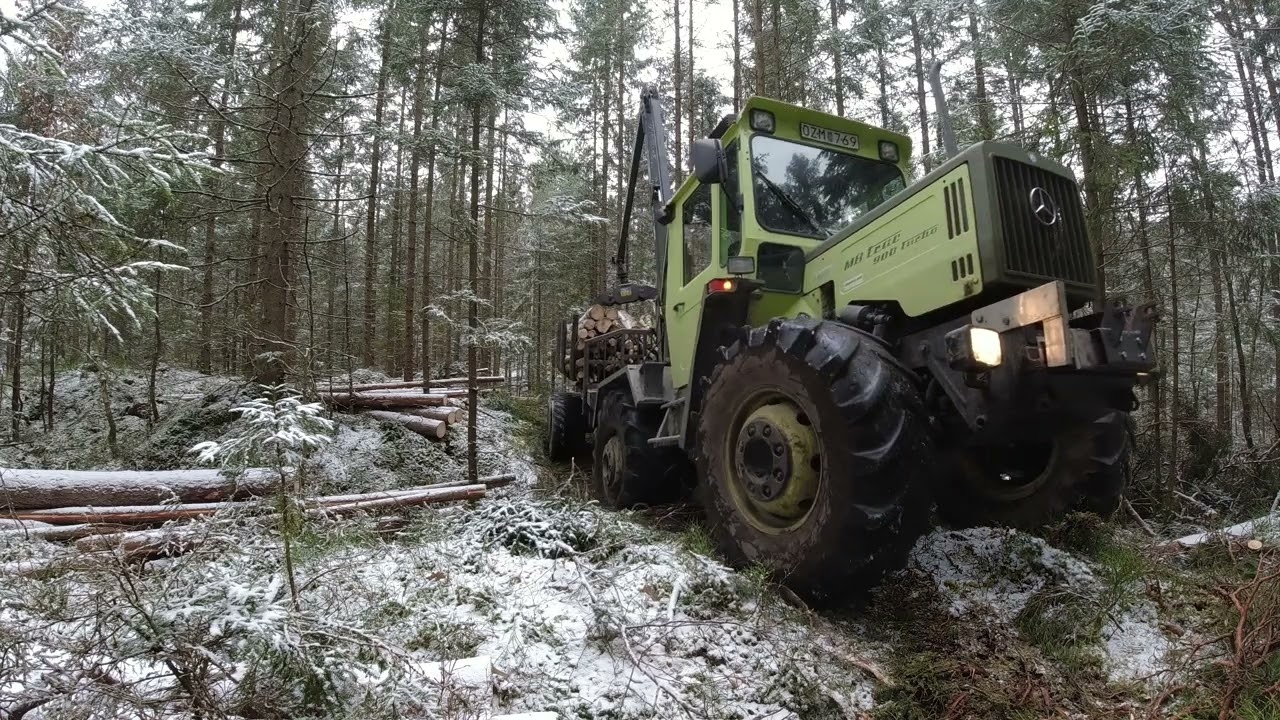 Lastar björkmassa och grankubb