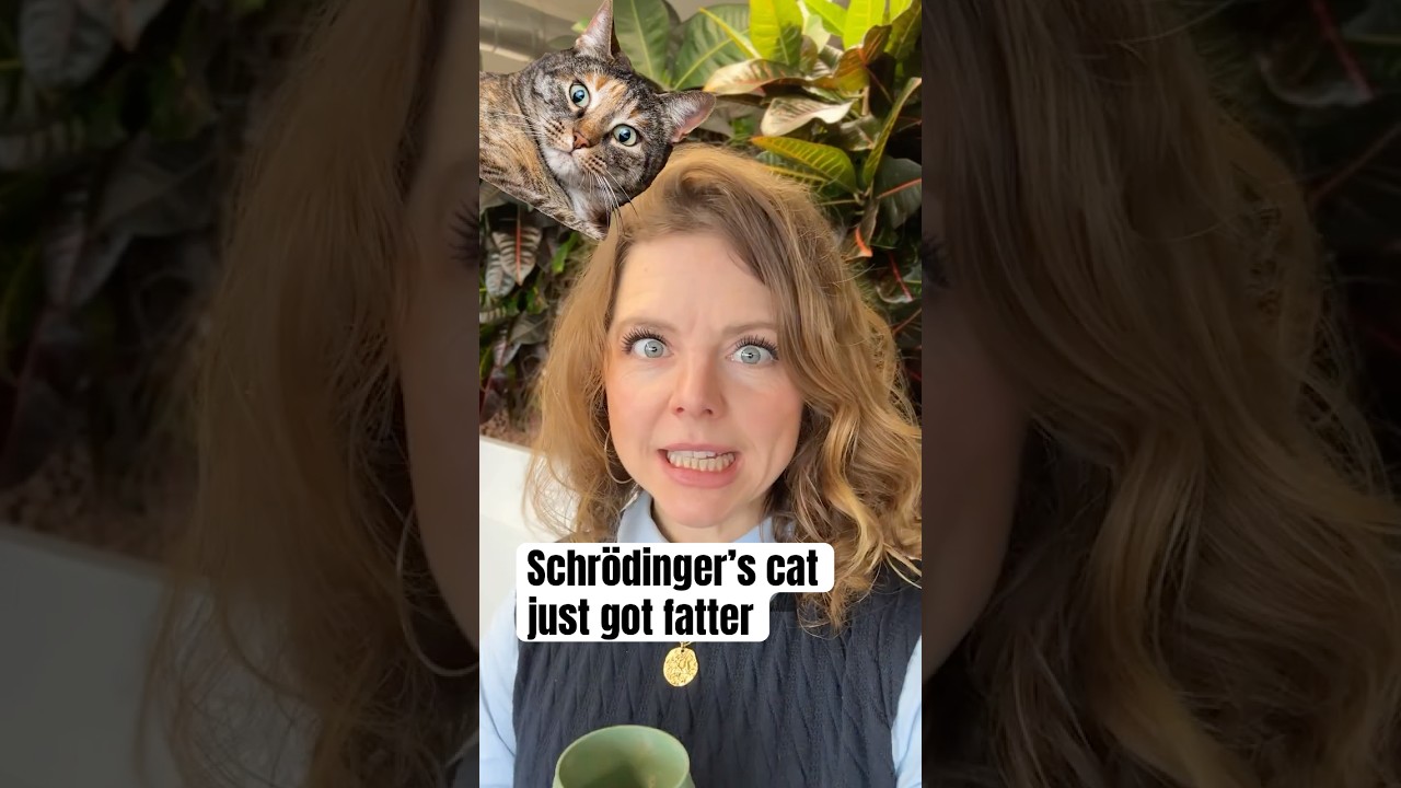 Biggest Schr&ouml;dinger&rsquo;s cat