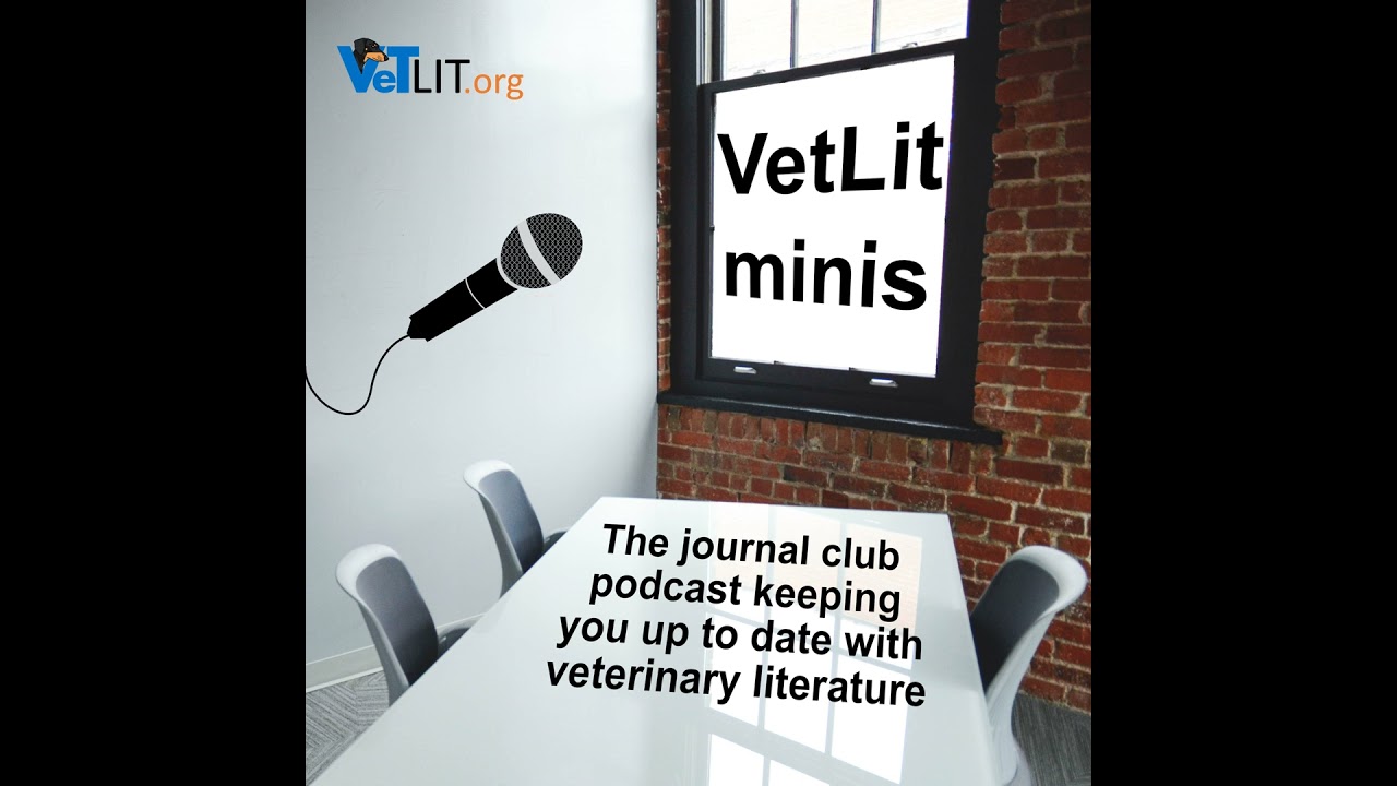 VetLit x George Hall - Transfusion reactions in dogs