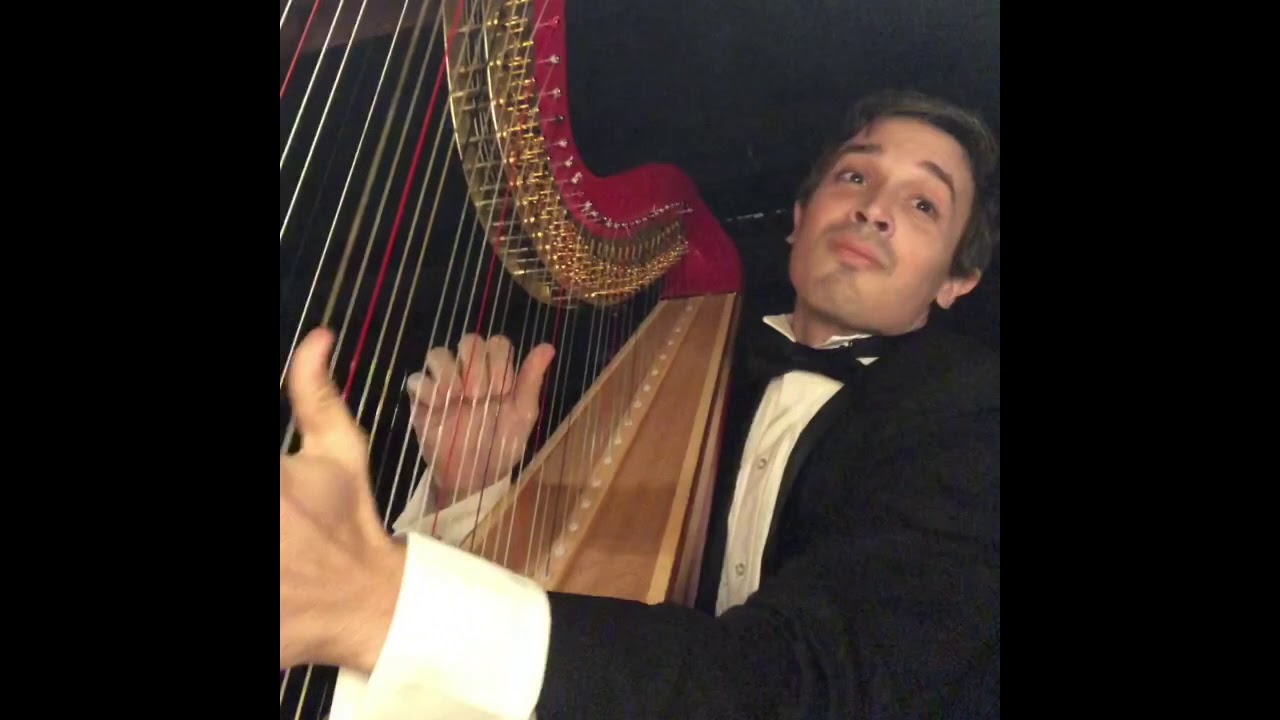 Donizetti - Lucia di Lammermoor - Regnava nel silenzio 2