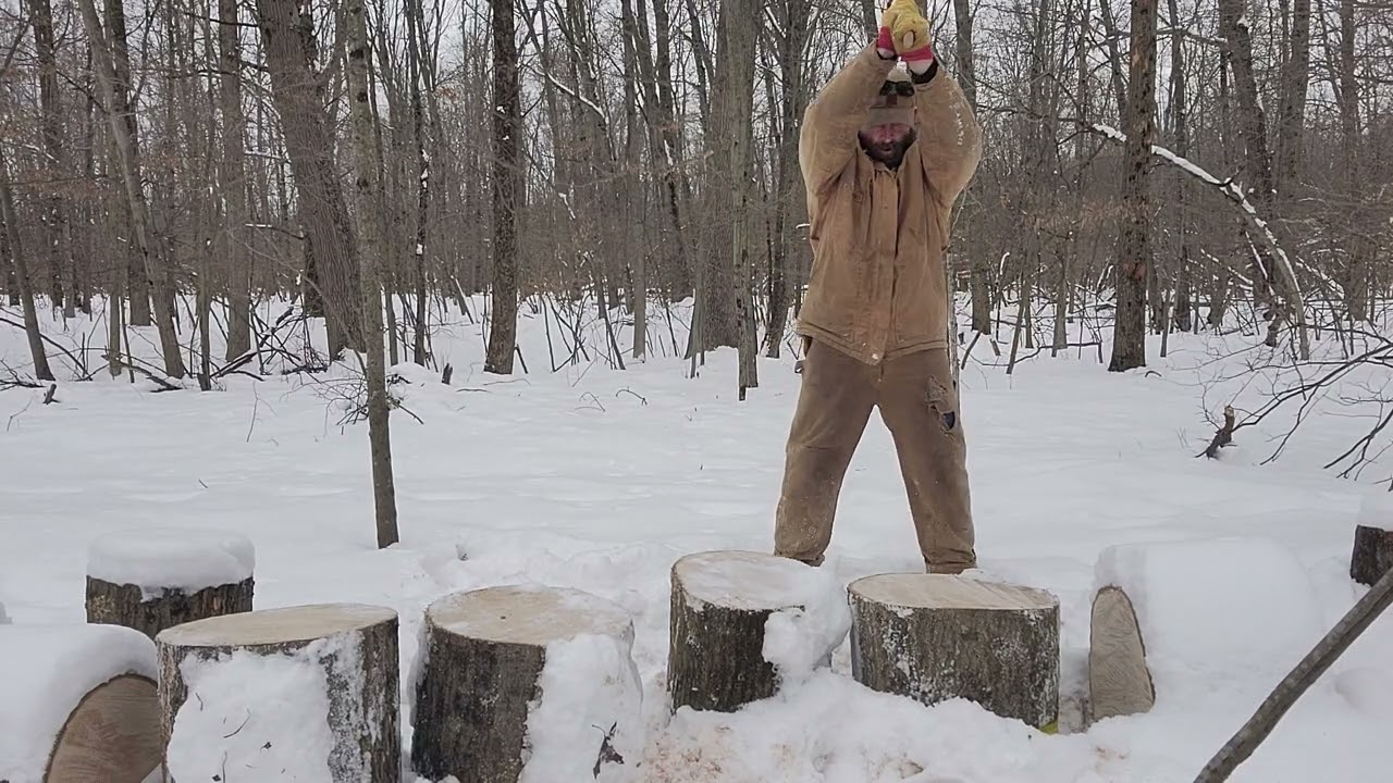 COLLINS AXE 8lb splitting maul review and first swings