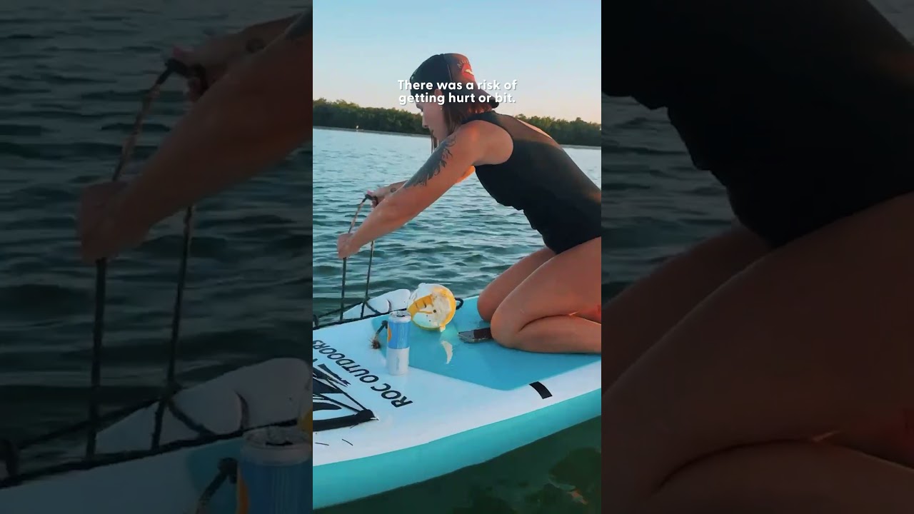 Paddleboarder Saves Shark With Fishing Rope Stuck In His Teeth | The Dodo
