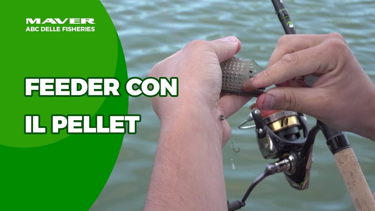 ABC delle Fisheries | Feeder con il Pellet