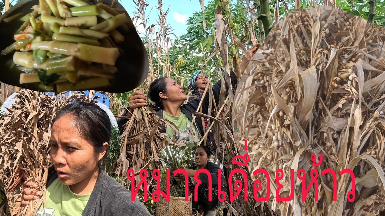 13 ธันวาคม ค.ศ. 2024
