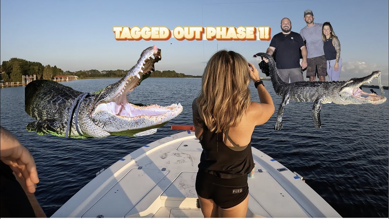 Rude Hunters Didn't Stop Us...Tagged Out Phase 1 Florida Alligator Hunt (Polk County)