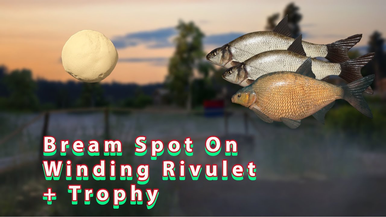 Russian Fishing 4 | Active Bream Spot On Winding Rivulet
