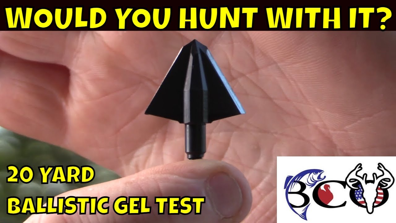 testing the new tooth of the arrow single bevel in ballistic gel | bco review |