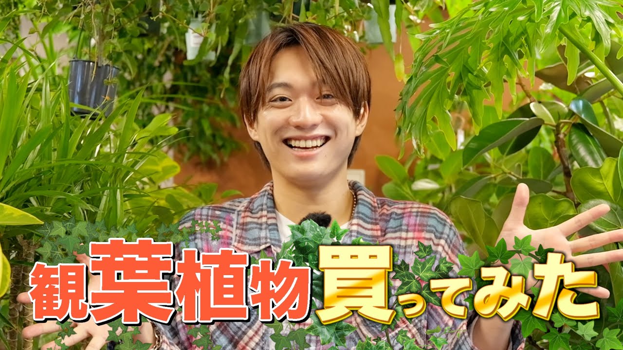福本大晴【観葉植物】買ってみた！
