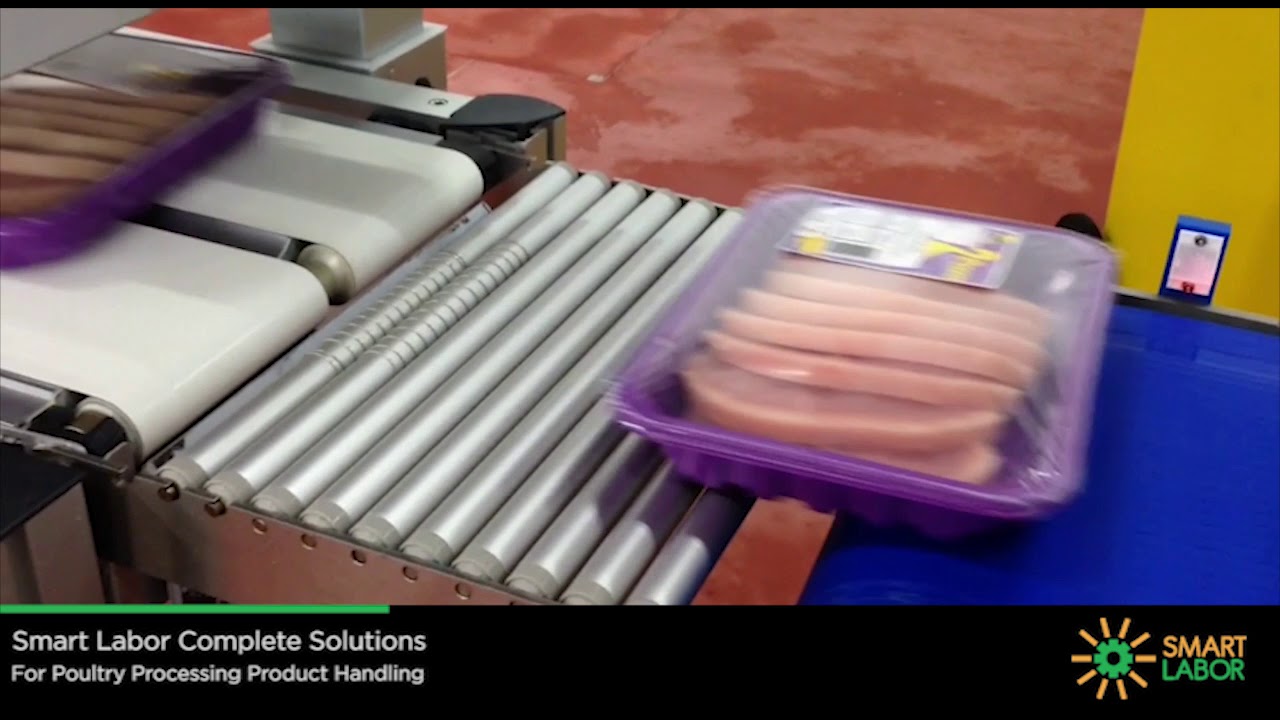 Smart Labor-Prime DCM Overview