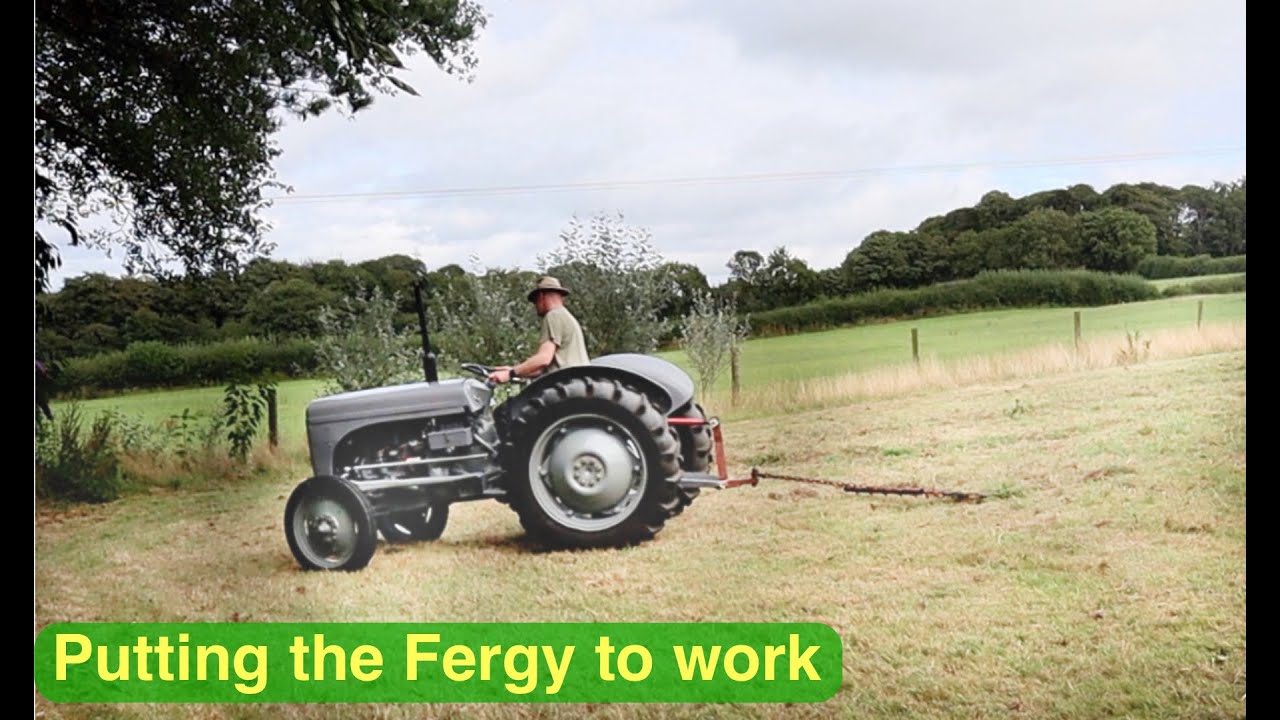 Fergy's first job