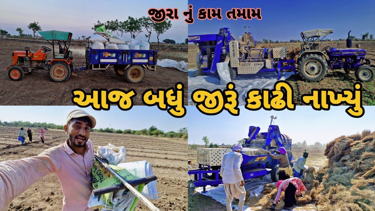 આજે બધાં જીરા નું કામ કાઢી નાખ્યું|| farming life 