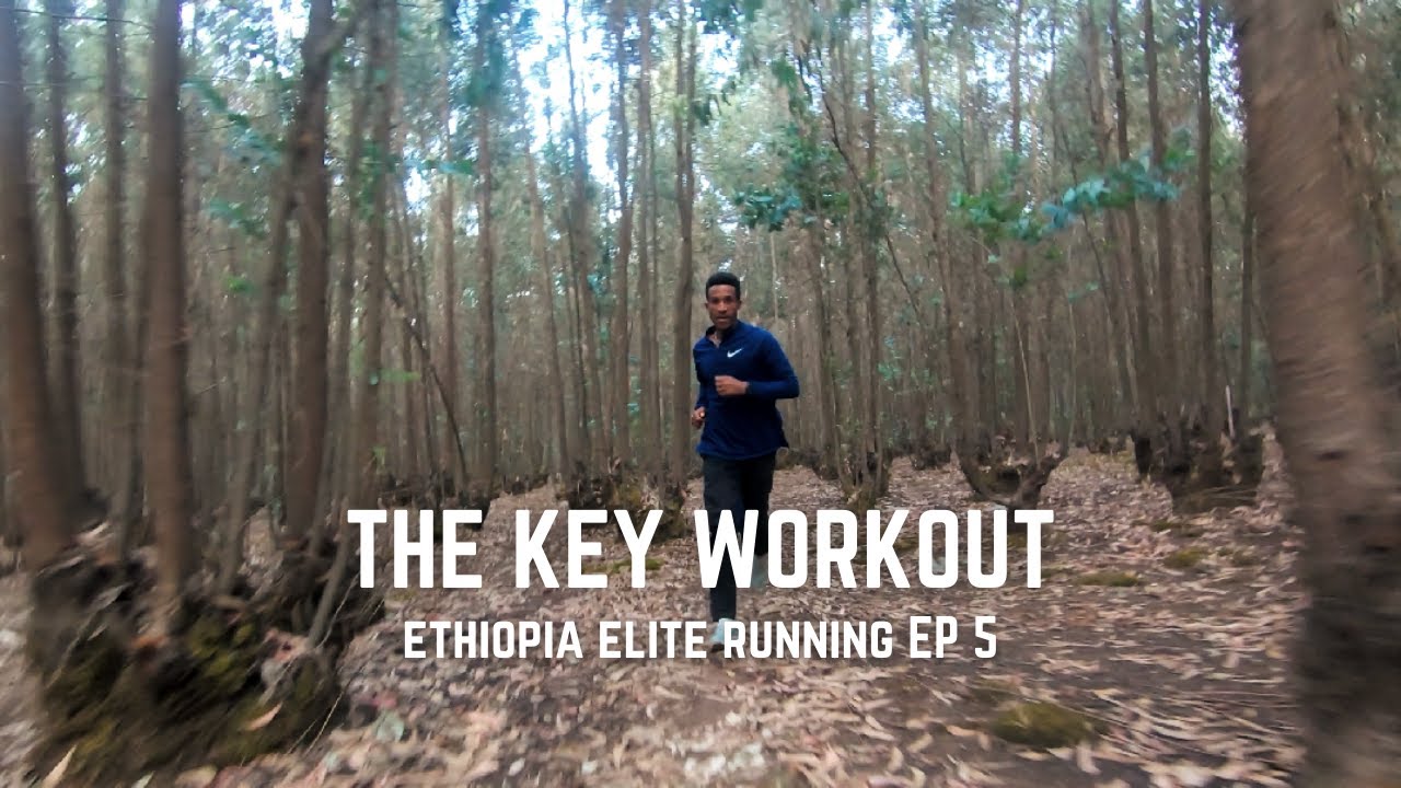 Ethiopian Elite Running E5: Entoto Forest - Gotytom Gebreslase