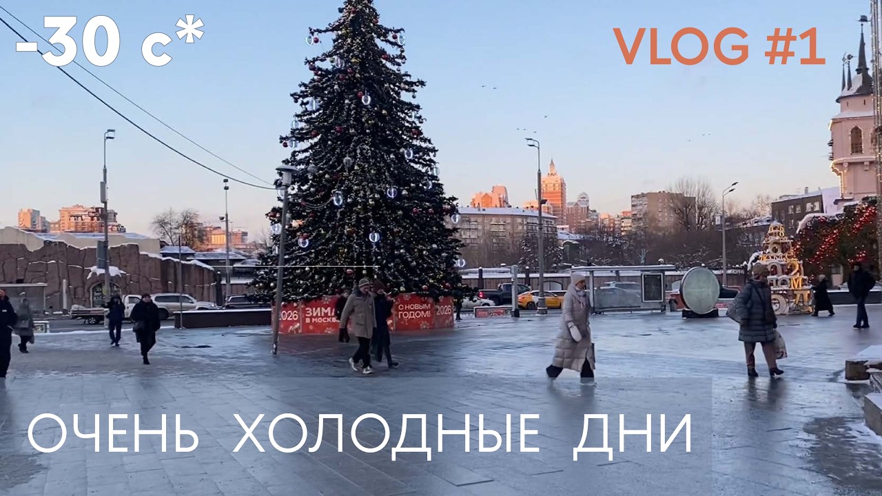 Очень холодные дни в Москве vlog